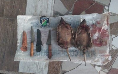 La Policía Rural detectó caza ilegal de fauna silvestre en San Carlos