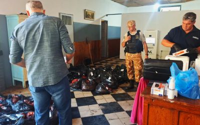 Faena de equinos: tras el decomiso de más de 2.000 kilos de carne en el Valle de Uco, diagnósticos determinaron que el 80% de las muestras dieron positivo