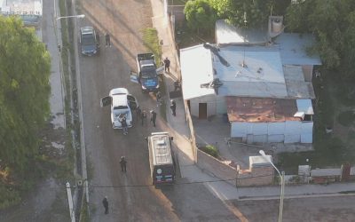 San Rafael: con apoyo de drones, desbaratan un cultivo de marihuana tras 15 días de vigilancia