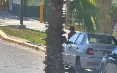 Videovigilancia y rápida intervención policial frustraron un robo en pleno centro de San Martín