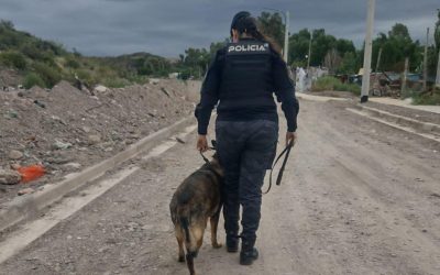 El perro Sky de la Policía de Mendoza permitió la aprehensión de un sospechoso tras un robo en una obra de Godoy Cruz