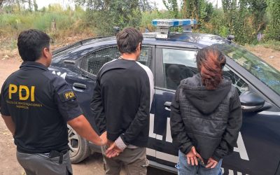 La Policía de Mendoza desbarató un desarmadero clandestino y recuperó siete autos robados