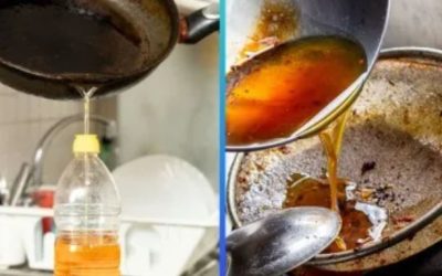 Pondrán en marcha un programa para convertir el aceite vegetal usado en bioenergía en la provincia