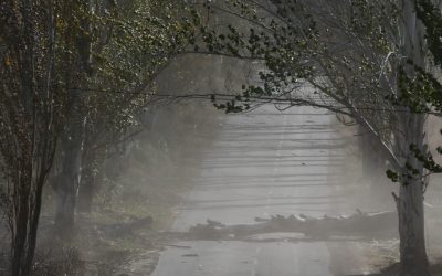 Lunes 2 de marzo: se suspenden las clases presenciales en Malargüe