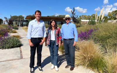 «Mendoza enamora»: una invitación al paraíso del vino, la montaña y los sentidos