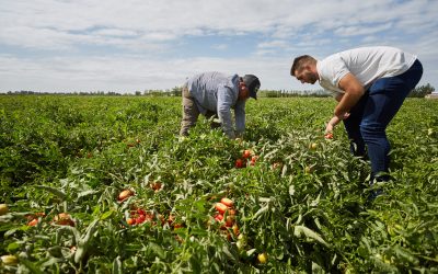 Irrigación acompaña al sector agrícola con prácticas de riego eficiente