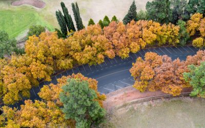 Otoño en Mendoza: colores, sabores y experiencias que invitan a quedarse