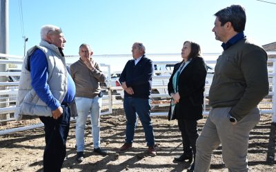 Se fortalece la seguridad y el control en los corrales municipales de Malargüe