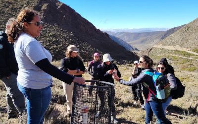 Mendoza fortalece capacidades técnicas para medir el impacto de soluciones basadas en la naturaleza en la cuenca del río Mendoza