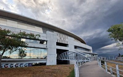 Estos son los recomendados del fin de semana