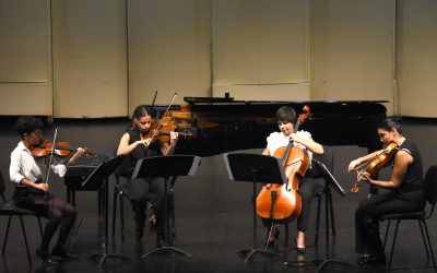 Balance de la edición del festival Música Clásica por los Caminos del Vino