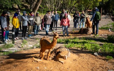Ecoparque Mendoza: un centro de referencia de rescate y rehabilitación de fauna silvestre