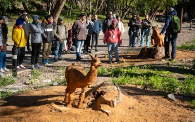 Semana del Animal: el Ecoparque realizó un simulacro de operativo de fauna como instancia formativa para los guardianes ambientales