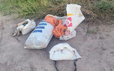 Robo de aceitunas en Junín: la Policía aprehendió a un sospechoso en una finca de Los Barriales