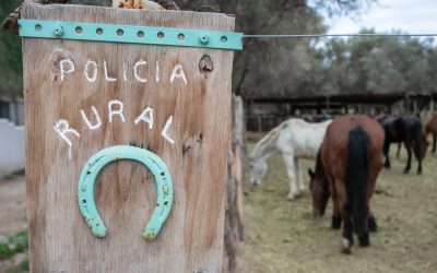 Decomisaron carne en mal estado en un comercio de General Alvear