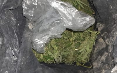 La Policía secuestró más de 6 kilos de marihuana tras un operativo en Rivadavia y detuvo a tres personas