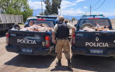 La Policía Rural decomisó más de 58 kilos de carne en mal estado en San Rafael y General Alvear