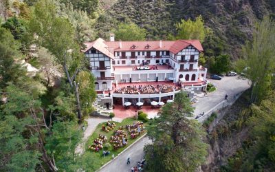 Estos son los recomendados para este fin de semana