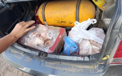 Operativo contra el abigeato: decomisan carne en mal estado y secuestran un vehículo en San Martín