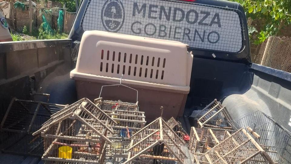 WhatsApp Image 2026-04-03 at 10.02.07