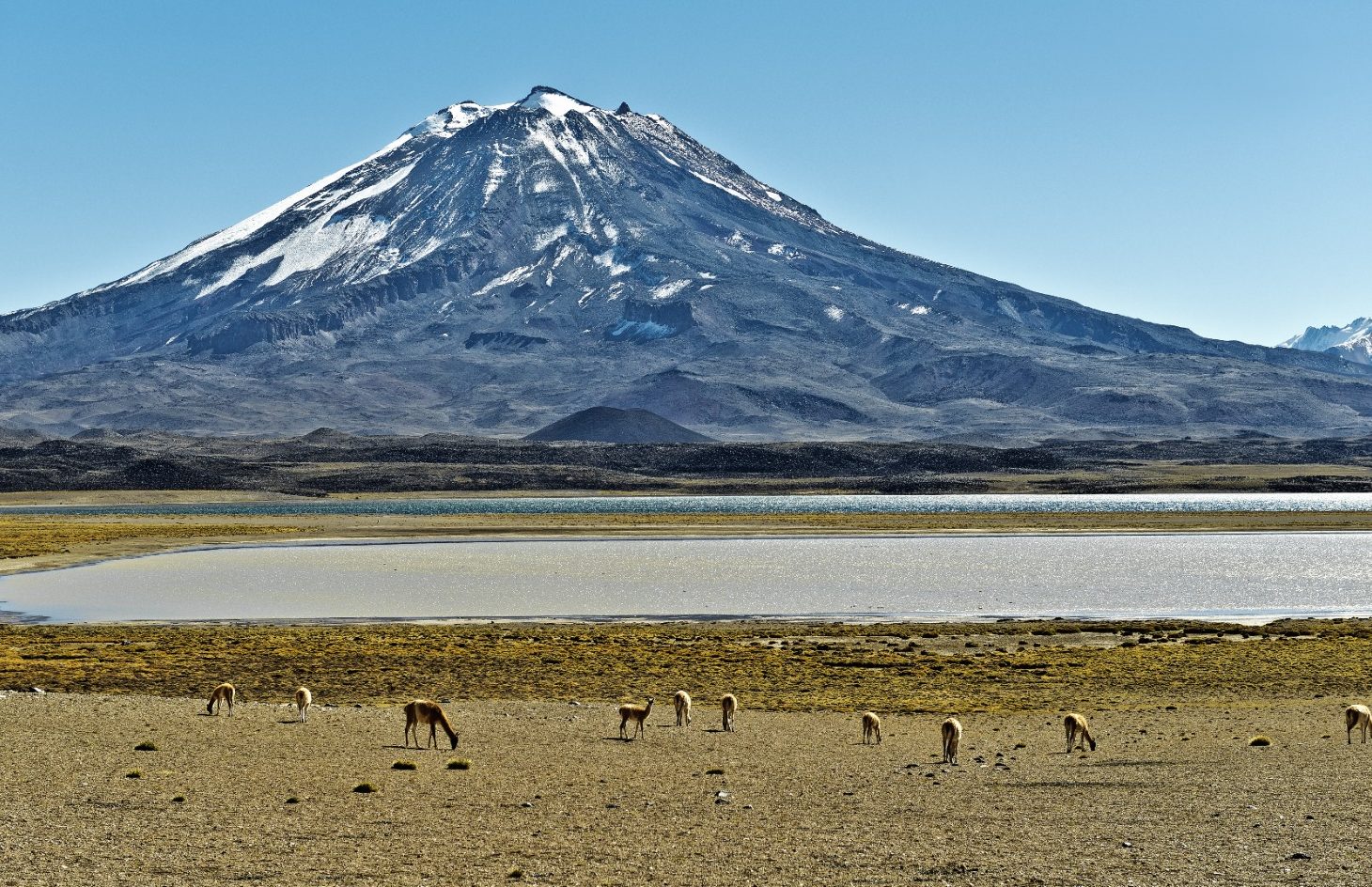 WhatsApp Image 2026-04-06 at 12.40.44