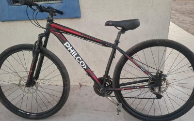 La Policía frustró el robo de una bicicleta en Luján