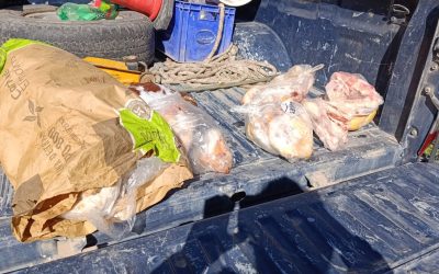 La Policía Rural decomisó más de 30 kilos de carne en mal estado en General Alvear