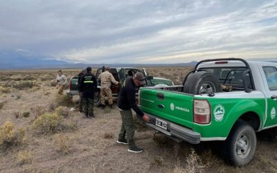 Operativo conjunto en San Rafael: detectan caza furtiva de piches y refuerzan controles sobre fauna y náutica