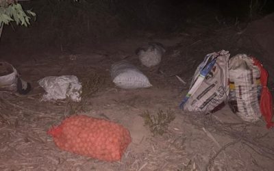 La Policía Rural detuvo en San Martín a tres sospechosos y recuperó 500 kilos de nueces