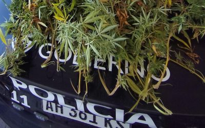 Patrullaje preventivo: la Policía de Mendoza detuvo a 10 personas y secuestró droga, vehículos y una réplica de arma