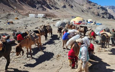 Tras la actualización de la normativa de control, Aconcagua cerró la temporada con resultados positivos en bienestar animal
