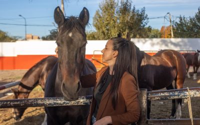 Día del Animal: Hércules y Haciel se suman al patrullaje de la Policía Montada