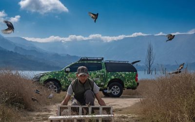 Reinsertan en su hábitat aves silvestres rescatadas del tráfico ilegal