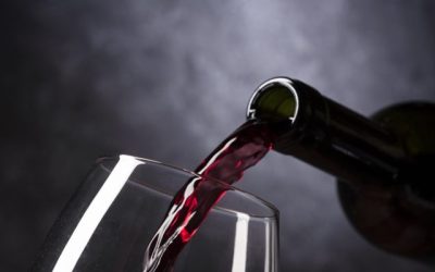 Día Mundial del Malbec: la cepa insignia que consolida el liderazgo de Mendoza en el mundo