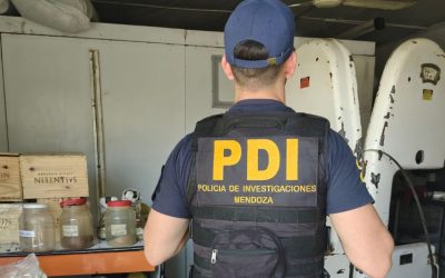 Investigaban una posible faena de guanacos y terminaron descubriendo un depósito con más de 2 toneladas de carne en mal estado