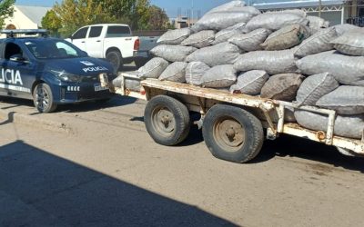 Secuestran 2.800 kilos de nueces sin documentación en Tupungato en medio de operativos por la cosecha