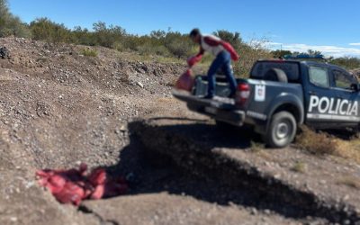 Controles rurales: la Policía de Mendoza decomisó más de 370 kilos de alimentos no aptos para el consumo