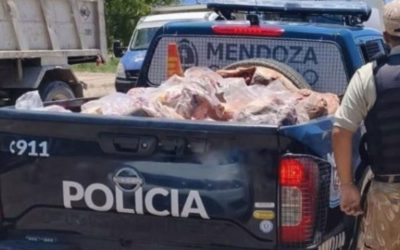 Plan contra el abigeato: decomisan carne en mal estado en el Sur provincial