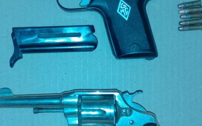 La Policía de Mendoza secuestró dos armas de fuego en Maipú y detuvo a un hombre