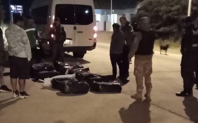 Plan contra el abigeato: decomisaron 260 kilos de pescado en mal estado y detuvieron a un hombre en Tupungato