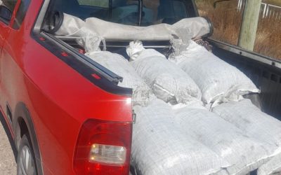 San Rafael: dos aprehendidos con más de 300 kilos de ciruela sustraída de un secadero