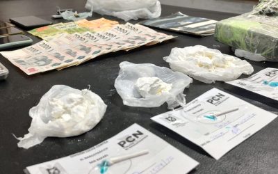 San Rafael: incautaron casi un kilo de cocaína y detuvieron a una pareja en un operativo contra la comercialización de drogas