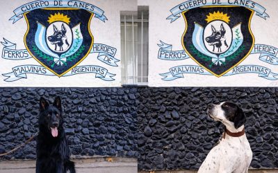 Héroes de cuatro patas: el Cuerpo de Canes del Sur provincial celebra un nuevo aniversario