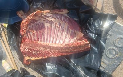 Control en San Martín: la Policía Rural secuestró 40 kilos de carne trasladada sin documentación
