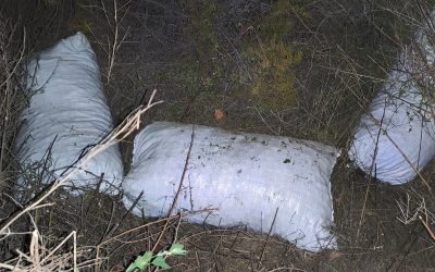 Operativos preventivos en Tupungato: recuperan 880 kilos de nueces y detienen a sospechosos