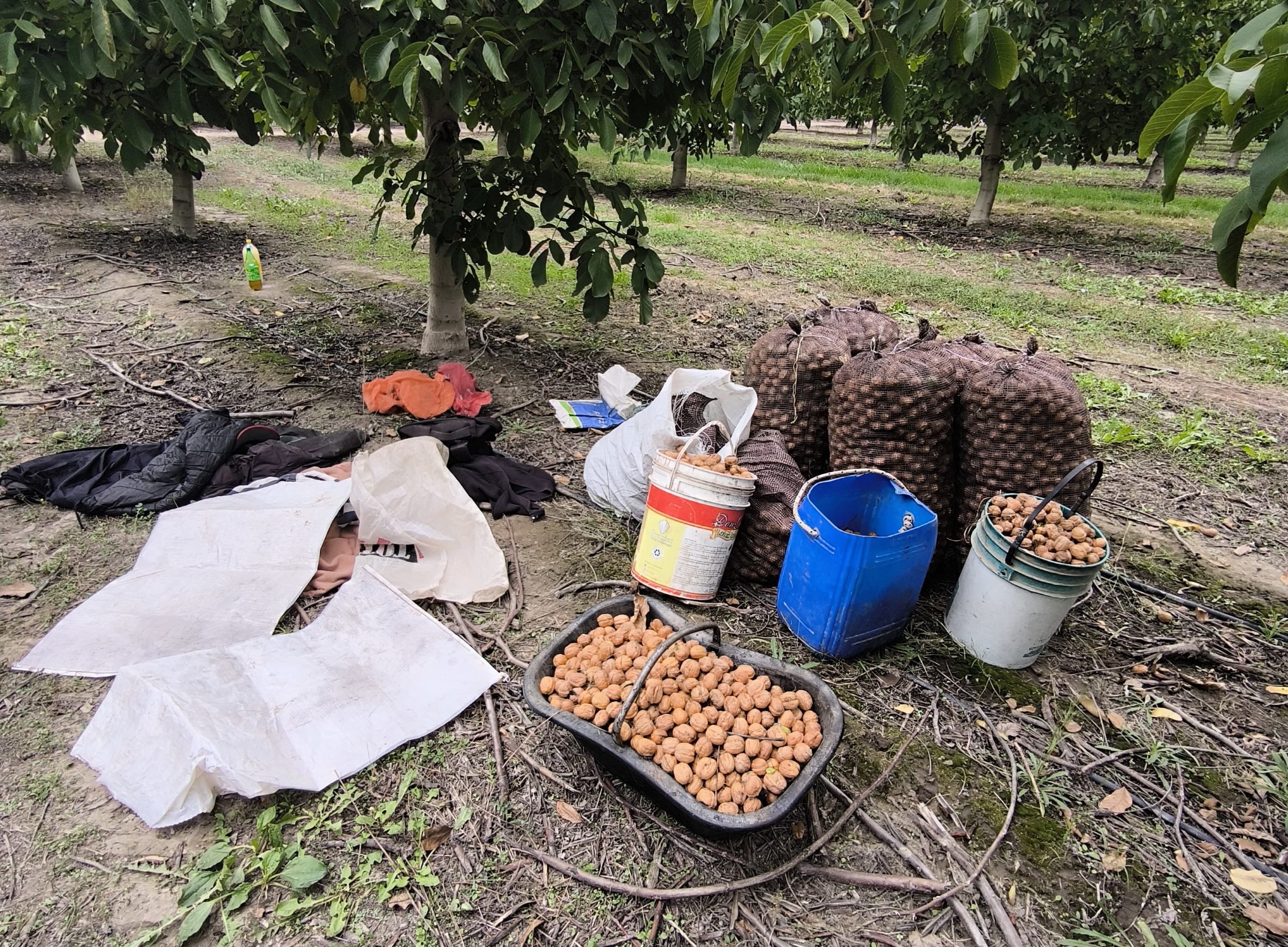portada valle de uco