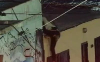 Cámaras del CEO detectaron una entradera en Las Heras y la Policía de Mendoza detuvo a dos hombres