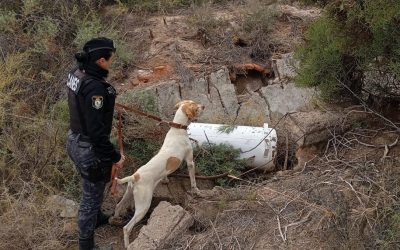 Fito volvió a seguir el rastro de un robo en Santa Rosa y recuperó elementos sustraídos