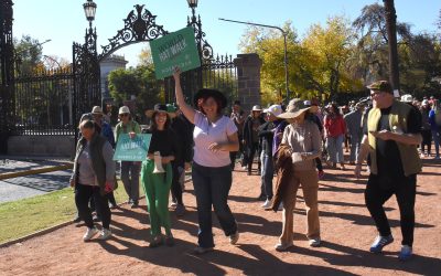 Sombreros, diseño y comunidad: Mendoza será parte del World Hat Walk 2026