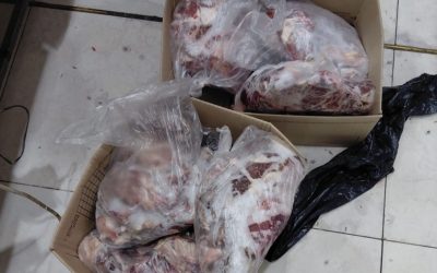 En Malargüe decomisaron más de 63 kilos de carne durante controles del Plan Estratégico contra el Abigeato